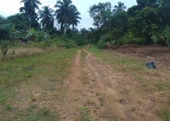 Miegyina Odikro Appeals to Government to Fix Beyin–Miegyina Road