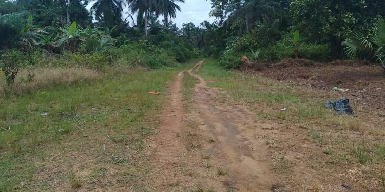 Miegyina Odikro Appeals to Government to Fix Beyin–Miegyina Road