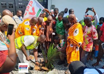 CPP Marks Rebirth with Oil Palm tree Planting at Nkrumah Mausoleum
