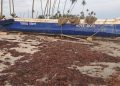The Ellembelle Seaweed Crisis: Government Urged to Take Action